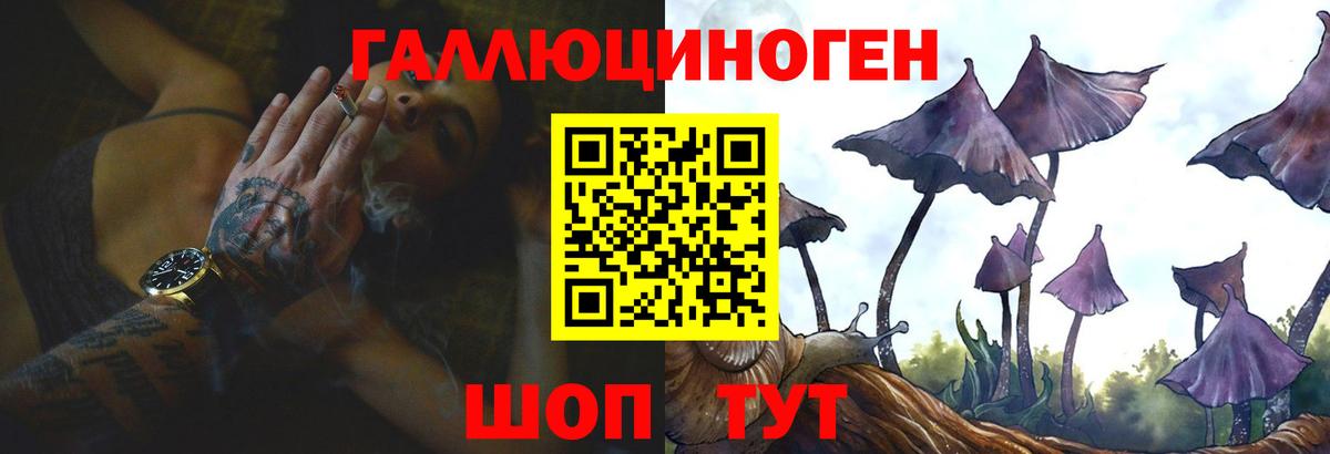 Галлюциногенные грибы Psilocybine cubensis  Вход с VPN  Бугуруслан 